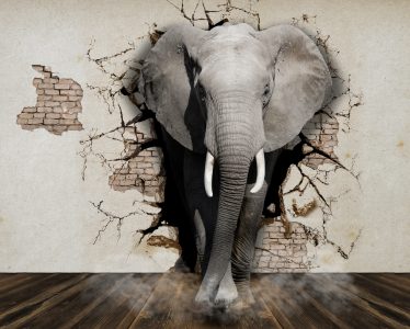 Elephant,Coming,Out,Of,The,Walls.,Wallpapers,For,Walls.,3d
