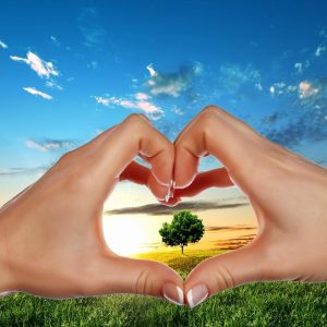 Self Care Inset image